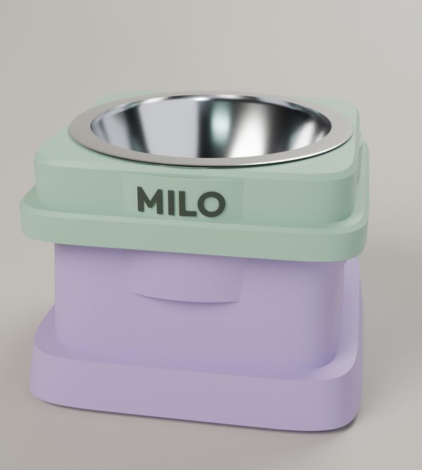Pixel, lila y menta, con el nombre MILO